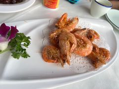 -云中小雅
