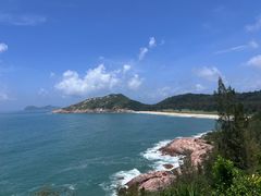 -广东惠东海龟国家级自然保护区