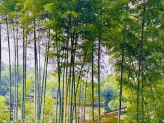 -天目湖御水温泉·度假酒店