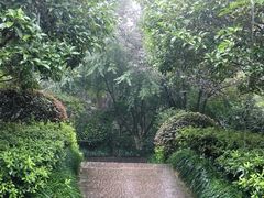 -杭州半山国家森林公园