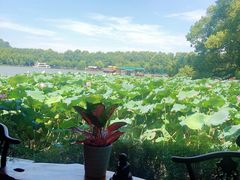 -湖畔居茶楼(湖滨店)