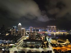 -新加坡瑞士史丹福酒店