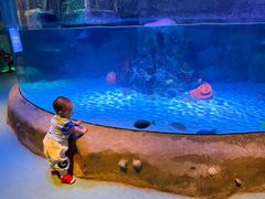 -沈阳海洋探索中心