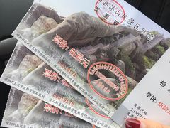 -洋山深水港