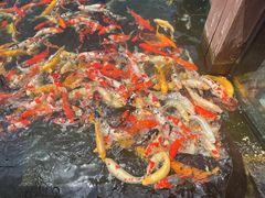-宁波杭州湾国家湿地公园