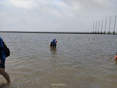 -碧海金沙
