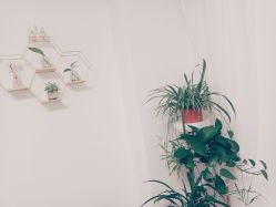 -凡碧诗毛孔收细
