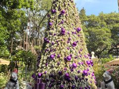 -火车头法国西餐厅