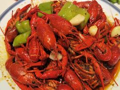 -杨氏青龙虾·羊蝎子(托乐嘉店)