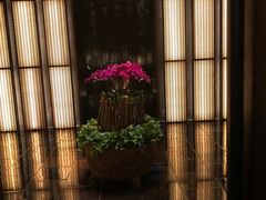 -上海璞麗酒店