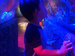 -沈阳海洋探索中心