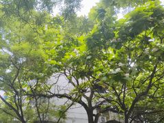 环境-香满锅老北京羊蝎子火锅·家常菜(新街口店)