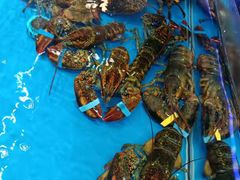 -盒马鲜生(观音桥店)