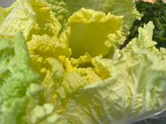 -半天妖烤鱼(西直门凯德mall店)