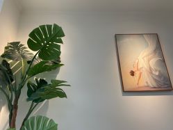-苗坊净颜草本痘肌护肤