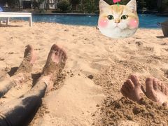 -上海东方佘山翰悦阁酒店·Vie全日制餐厅