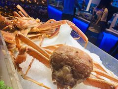 -乔哥铭洋海鲜自助(皇城恒隆广场店)