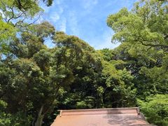 -来宫神社