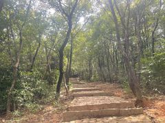 -白马涧龙池景区