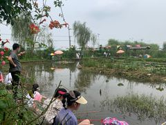 -同銮特种养殖场·龙虾垂钓