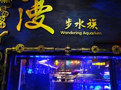 -漫步水族(金源珠宝古玩城店)