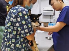 -爱侣宠医·鹦鹉专科·小型哺乳类·异宠专科(灵石路店)