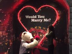 -济州岛泰迪熊博物馆