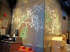 -星巴克(深圳北站B5检票口)