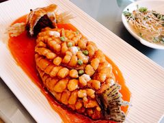 松鼠桂鱼-古南都·江苏酒家(建宁路店)