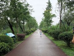 -白鹭湾湿地公园