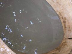 -100蛋泥浆浴