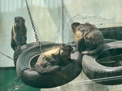 -无锡动物园·太湖欢乐园
