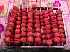 -沈阳奥体冰雪嘉年华