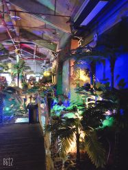 -恐龙探索乐园(磁器口店)