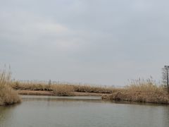 -宁波杭州湾国家湿地公园