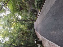 -北极阁公园