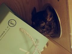 -7cake榴莲千层蛋糕(松江店)