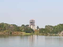 -大湾区中央湿地公园