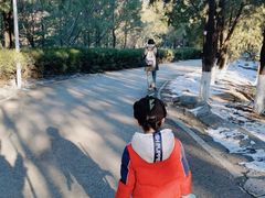 -北京鹫峰国家森林公园