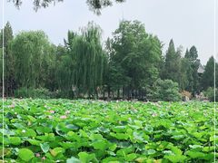 -莲池书院博物馆