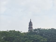 -顺峰山公园