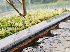 -碧水湾温泉