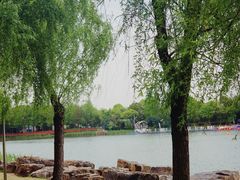 -南翔镇银翔湖公园