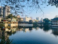 -荔湾湖公园