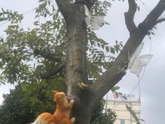 -南屏步行街