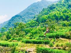 -藏龙百瀑风景区