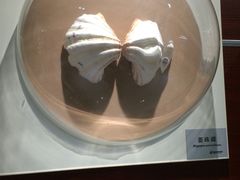 -青岛贝壳博物馆