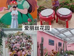 -正佳雨林生态植物园