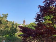-盘门景区