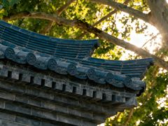 -法门文化景区